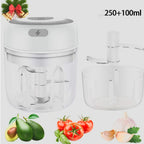 Mini Electric Vegetable & Garlic Chopper