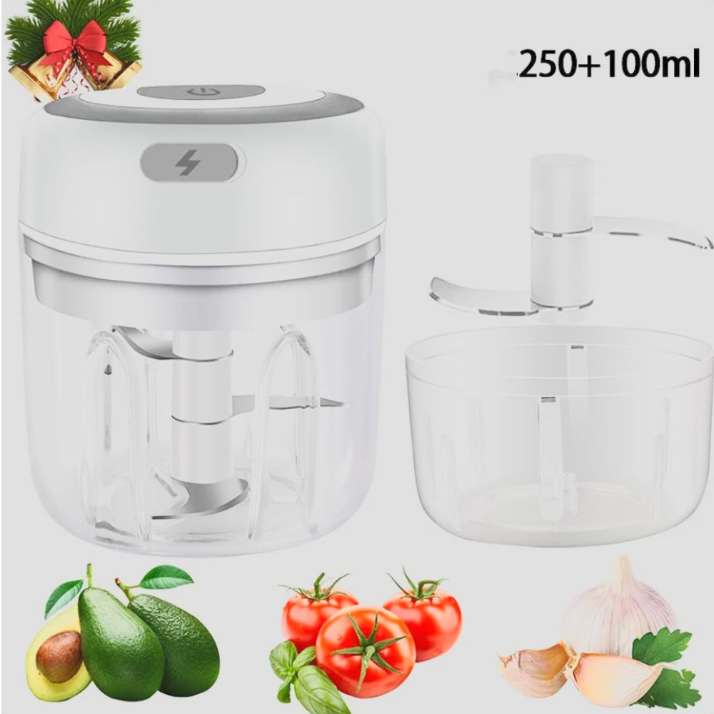 Mini Electric Vegetable & Garlic Chopper