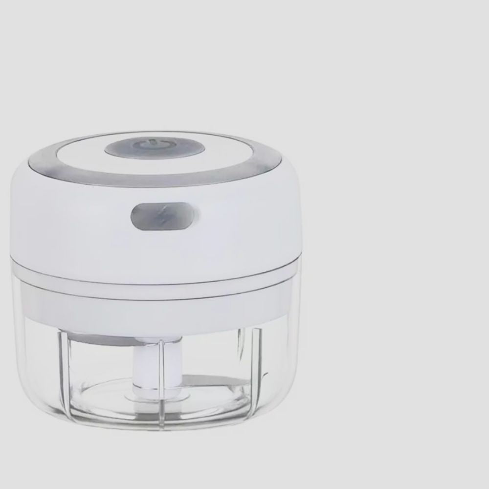 Mini Electric Vegetable & Garlic Chopper